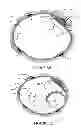 Fig. 06 - Transvascular nerve stimulation apparatus and methods