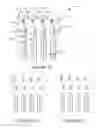 Fig. 09 - Transvascular nerve stimulation apparatus and methods