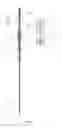 Fig. 06 - Delivery and release device for stent-graft
