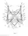 Fig. 10 - Endoprosthesis for implantation in the heart of a patient