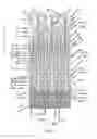 Fig. 27 - Endoprosthesis for implantation in the heart of a patient