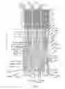 Fig. 33 - Endoprosthesis for implantation in the heart of a patient