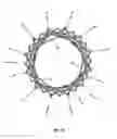 Fig. 55 - Endoprosthesis for implantation in the heart of a patient