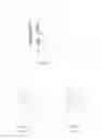 Fig. 02 - Stent for bifurcated vessel