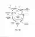 Fig. 08 - Methods and apparatus for delivering a prosthetic valve to a beating heart