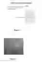 Fig. 03 - Skin substitute and wound dressing with variable pore sizes