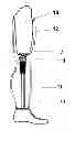 Fig. 01 - COVERING FOR A LIMB PROSTHESIS, LIMB PROSTHESIS, AND MANUFACTURING METHOD THEREOF