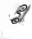 Fig. 02 - Versatile electric bicycle systems