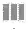 Fig. 04 - Time-lapse 4D scattering for imaging hydraulically induced fractures