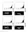 Fig. 13 - SYSTEM AND METHODS FOR RISK MANAGEMENT ANALYSIS OF A PRESSURE SENSING SYSTEM