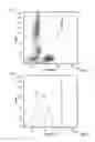Fig. 02 - Systems and methods for efficient contours and gating in flow cytometry