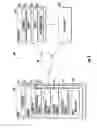 Fig. 07 - Selecting a Subset of Transit Trips Based on Time and Duration