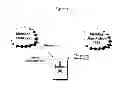 Fig. 02 - Real-Time Subjective/Objective Venue Evaluation Method
