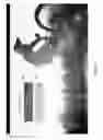 Fig. 08 - INTERACTIVE ADVERTISING