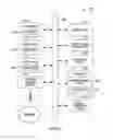 Fig. 32 - SYSTEMS AND METHODS FOR DISTRIBUTED MARKETING AUTOMATION