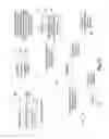 Fig. 16 - NETWORK CONTENT MESSAGE PLACEMENT MANAGEMENT