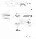 Fig. 01 - Controlling quarantining and biasing in cataclysms for optimization simulations