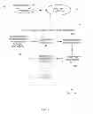 Fig. 02 - Controlling quarantining and biasing in cataclysms for optimization simulations