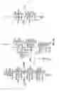 Fig. 19 - Low power integrated analog mathematical engine