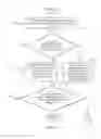 Fig. 04 - DATA STREAMING FOR INTERACTIVE DECISION-ORIENTED SOFTWARE APPLICATIONS