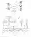 Fig. 02 - Detecting a Preferred Implementation of an Operation