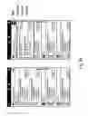 Fig. 22 - SYSTEM AND METHOD FOR SEARCHING INFORMATION IN DATABASES