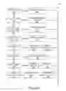 Fig. 07 - Presenting related content in a stream of content