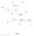 Fig. 03 - Migration of data objects