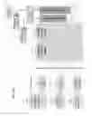 Fig. 17 - Systems and methods for controlling the distribution and viewing of digital art and imaging via the internet