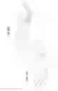 Fig. 29 - Systems and methods for controlling the distribution and viewing of digital art and imaging via the internet