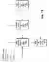 Fig. 74 - Geographic location determination in a content delivery framework