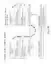 Fig. 15 - APPLICATION ACTIVITY SYSTEM WITH INTERNET PROTOCOL COLLECT CALL