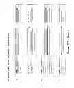 Fig. 17 - APPLICATION ACTIVITY SYSTEM WITH INTERNET PROTOCOL COLLECT CALL