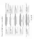 Fig. 20 - APPLICATION ACTIVITY SYSTEM WITH INTERNET PROTOCOL COLLECT CALL