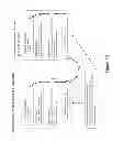 Fig. 23 - APPLICATION ACTIVITY SYSTEM WITH INTERNET PROTOCOL COLLECT CALL
