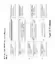 Fig. 25 - APPLICATION ACTIVITY SYSTEM WITH INTERNET PROTOCOL COLLECT CALL