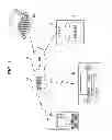 Fig. 02 - Content using method, content using apparatus, content recording method, content recording apparatus, content providing system, content receiving method, content receiving apparatus, and content data format