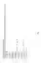 Fig. 02 - Scalable partial vectorization