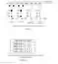 Fig. 06 - TRANSFORMER STATION AUTOMATION SYSTEM AND TERMINAL AUTOMATIC RECOGNITION METHOD