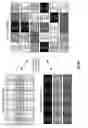 Fig. 11 - Distributed storage with auxiliary data interspersal and method for use therewith