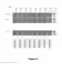 Fig. 07 - Method and device for processing received data