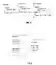 Fig. 05 - Systems and methods for processing modifiable files grouped into themed directories for presentation of web content