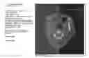 Fig. 01 - METHOD AND SYSTEM FOR IMAGE REPORT INTERACTION FOR MEDICAL IMAGE SOFTWARE
