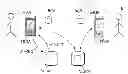 Fig. 01 - PERSONALIZATION OF A MESSAGE INTERFACE