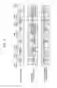 Fig. 05 - METHOD AND APPARATUS FOR REPRODUCING CONTENT