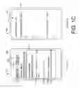 Fig. 04 - Auto-calendaring