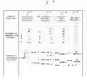 Fig. 01 - Software product consistency assessment