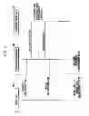 Fig. 06 - Method of operating security function and electronic device supporting the same