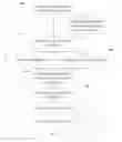 Fig. 01 - Vertical social network