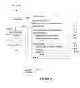 Fig. 04 - Managing multiple logins from a single browser